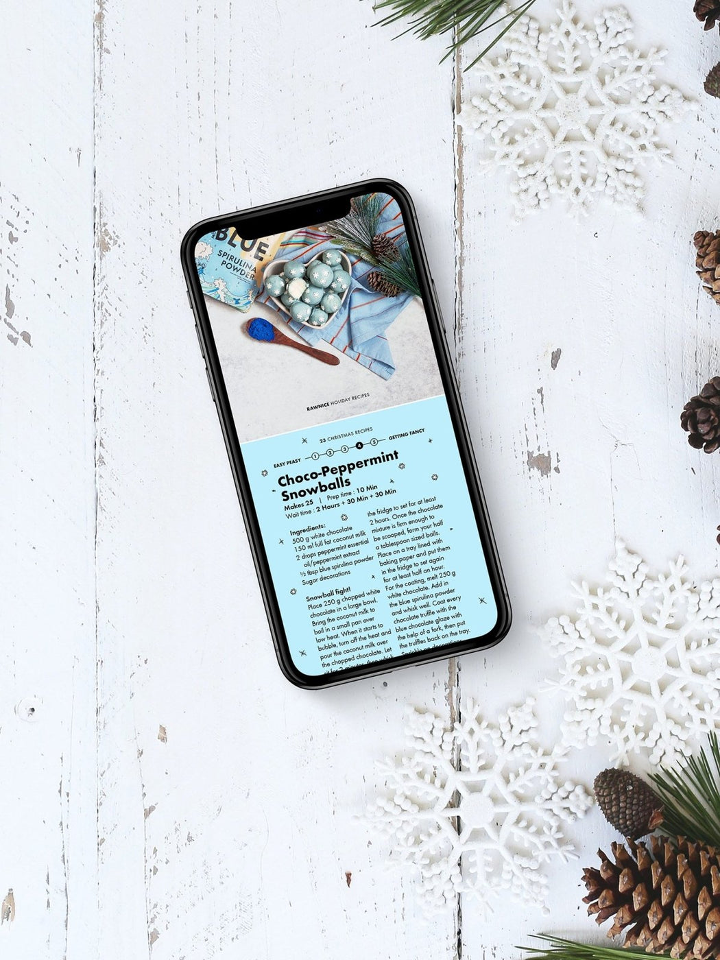 E-book: Holiday Recipes (16 recipes) - Rawnice