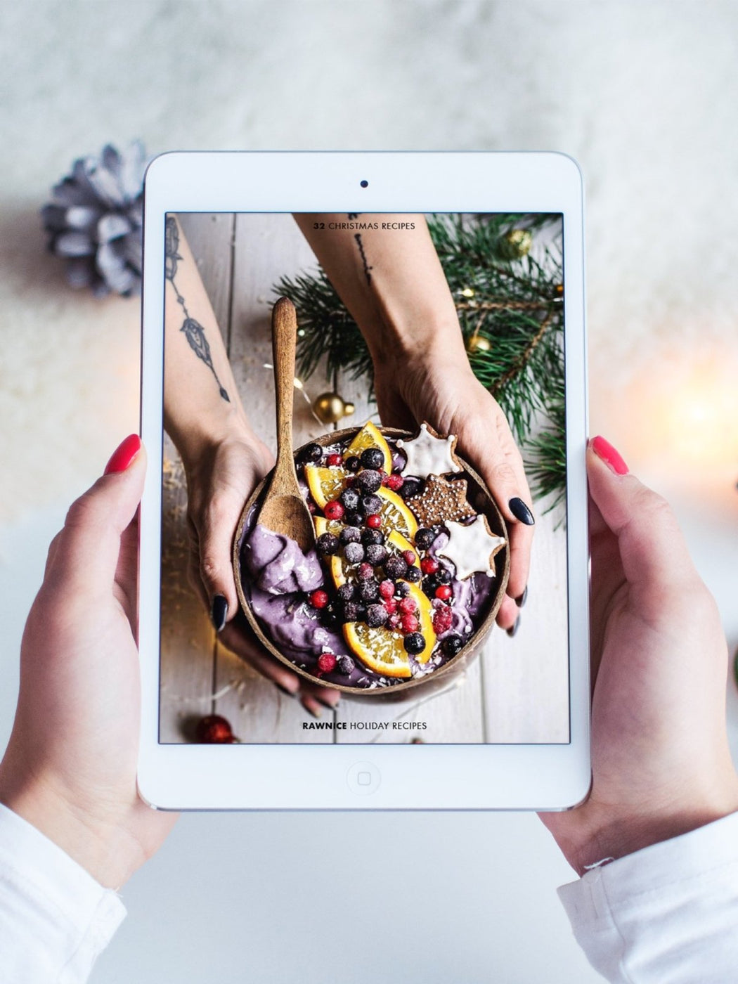 E-book: Holiday Recipes (16 recipes) - Rawnice