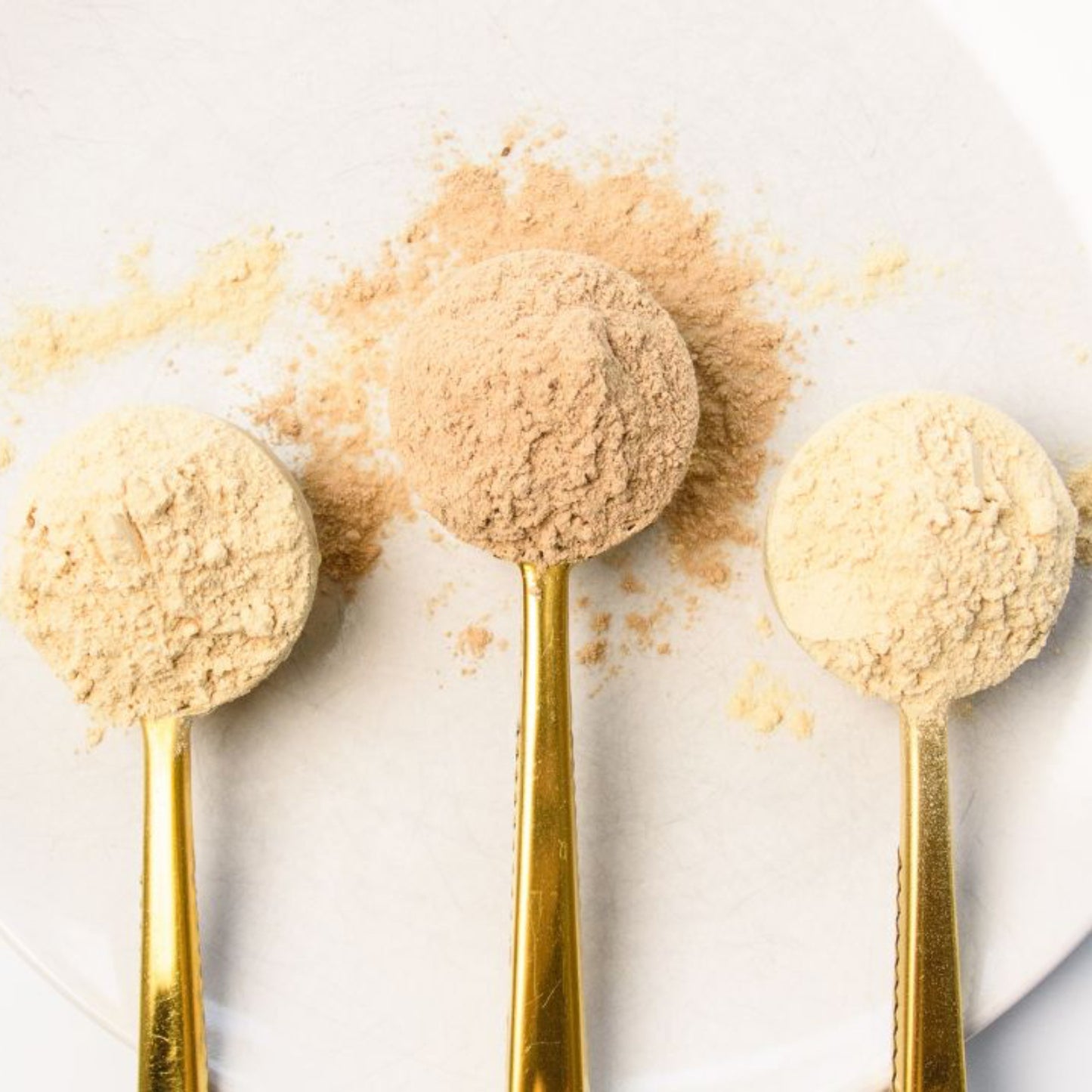 The Protein Bundle